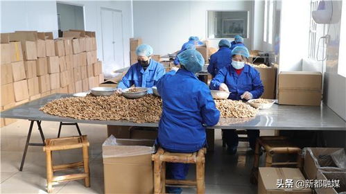 军屯合意食品厂 拓展烟草制品零售业务，预计年销售额突破6000万元